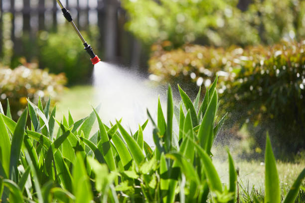 24/7 Emergency Mosquito Control experts in Harrison, TN
